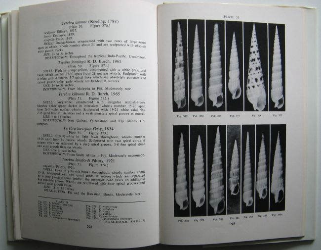 Marine shells of the pacific walter, Cernohorsky O Walter :: SHELLS ...