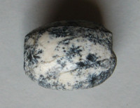 Slonovinový korálek 1) , Pleistocén