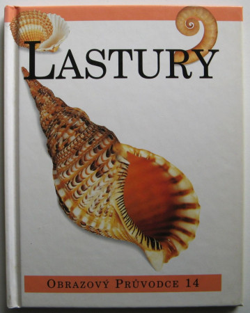 Lastury