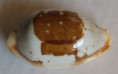 /products/cypraea-stolida-crossei-new-caledonia/