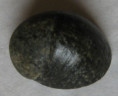/products/nerita-olivaria-le-guillou-18411/