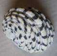 /products/nerita-textilis-gmelin-17913/