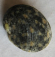 /products/nerita-patula-recluz-18411/