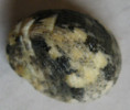 /products/nerita-patula-2-recluz-1841/