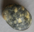 /products/nerita-patula-3-recluz-1841/