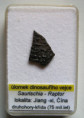 /products/hymenoptera-sp-muska-v-jantaru-40-55-million-years/