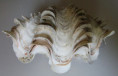 /products/tridacna-squamosa-1-lamarck-1819/