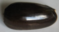 /products/oliva-vidua-roding-17982/