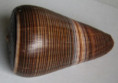/products/conus-figulinus-linnaeus-17581/